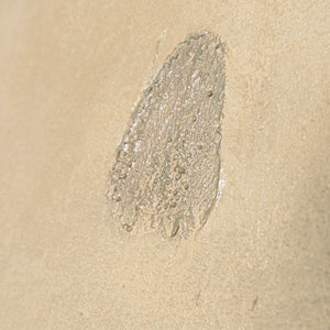 Lienzos modernos con líneas orgánicas en el marco "Sandweg"