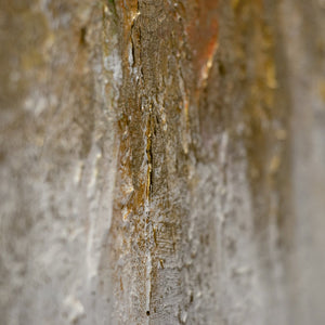 buntes bild leinwand