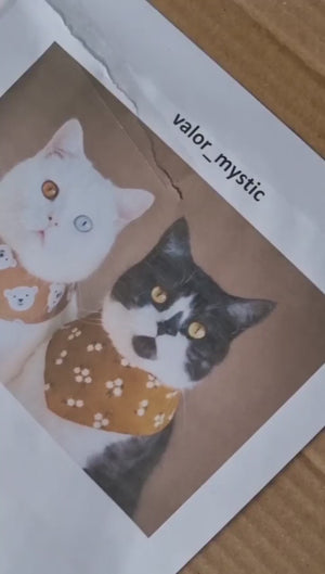 Personalisiertes Tierportrait Katze Acrylbild Geschenkidee